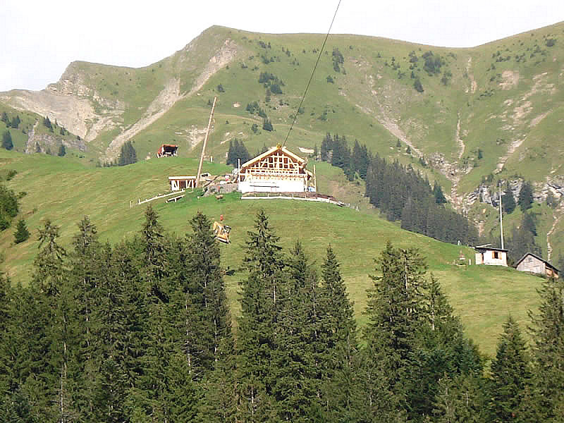 Materialseilbahnen - von Rotz Forstunternehmung in Kerns